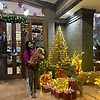sofi_10908