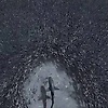 ambivert_66447