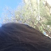 wafaa_36200