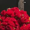 ayla_24296