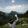aissa_24765