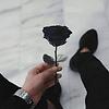 zizou_49929