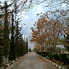 fayrouz_17645