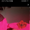 lefav_49202