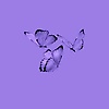 skyangel_71991