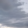olga_35374