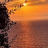 lokmane_85540