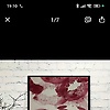 mouad_33549