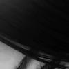 estela_71198