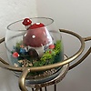 bahar_66306