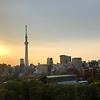 taro_20070
