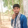 Omid12547878