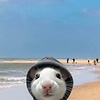 Doratheexplora9494