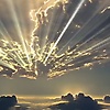 amir_87651