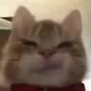 user_474071