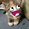 user_254993