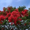 Mariaislam
