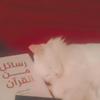 yoka_90960