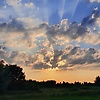 ahmadahlam_59434