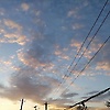 yiziheng_25282