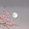 lucky_65755