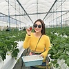 Hanhthuy28