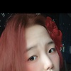 tulip_90660