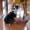 daniel_23635