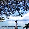 elen_97704