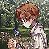 lia_77137