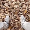 oliver_12875