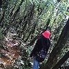 Ahinsa