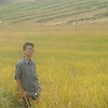 triandhika