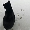 user_126819