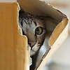 enrique_27634