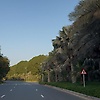 azad_76940
