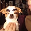 user_1599846