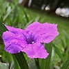 aad_80193