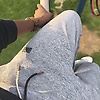 mona_21127