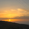 harachidah_36094