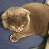 maxim_70866