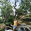 jaidee_60803