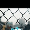 atillakoyu_17923