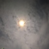 ririsss_25223