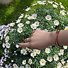 Ekdmdmdmdkmd_82991
