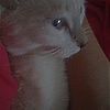 she.is_me.aymi