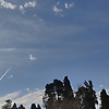 davood_52235