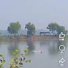mohammad_55379