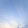 tiya_72056