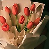 aien_0311